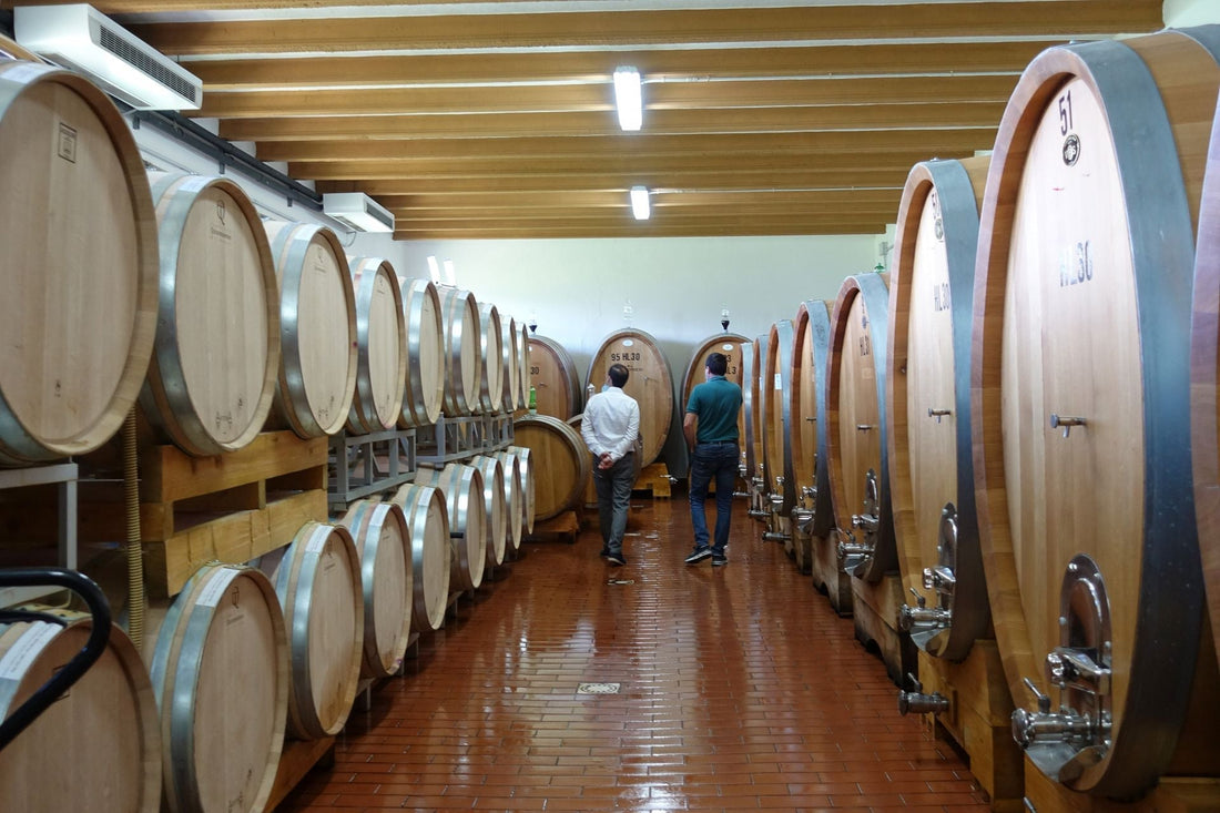 Botte grande, barriques o tonneaux? Una guida alla scelta